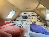DG Studio