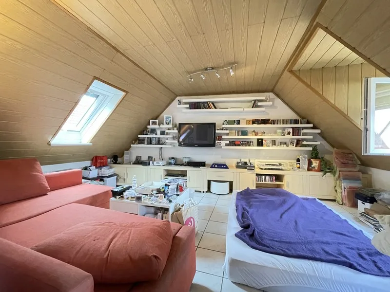 DG Studio