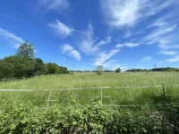Fernblick Garten