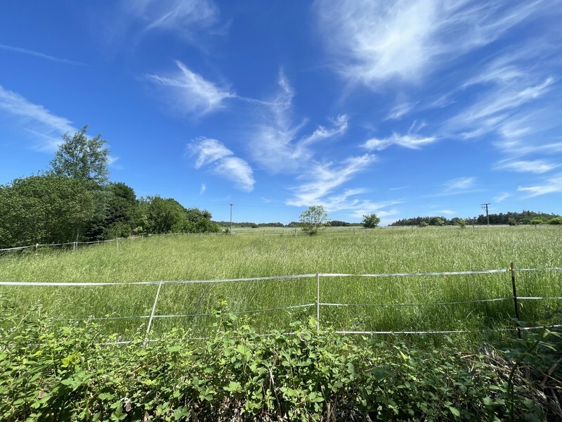 Fernblick Garten