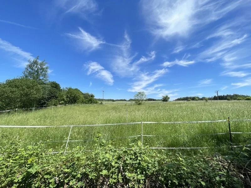 Fernblick Garten