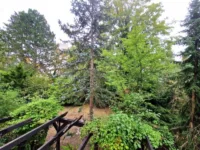 Ausblick Garten