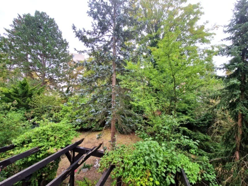 Ausblick Garten