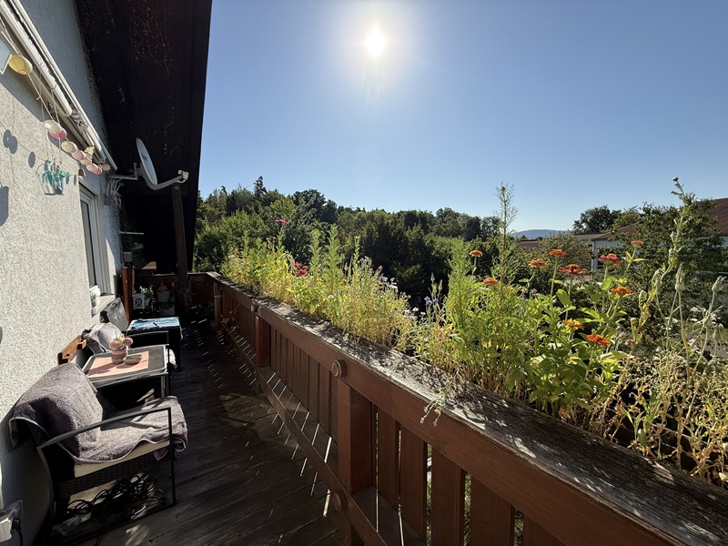 DG Balkon