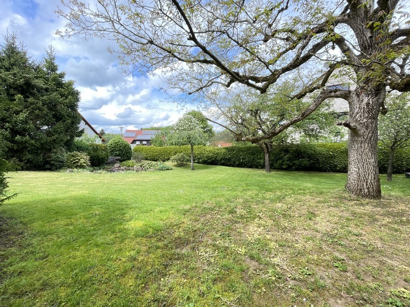 Garten Bild 1