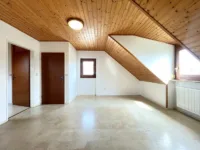 DG Studio