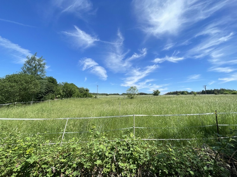 Fernblick Garten