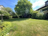Garten Bild 2